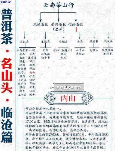 关于普洱茶的九大山