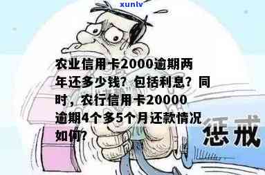 逾期4个月的农行信用卡欠款20000元，我该如何解决还款问题？