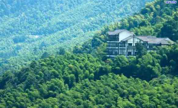 茶山竹海景点介绍：探秘茶山竹海里的美丽胜地