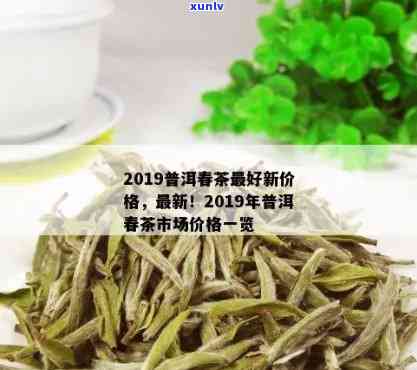 明前春尖茶叶批发价格大全，最新普洱茶市场行情分析