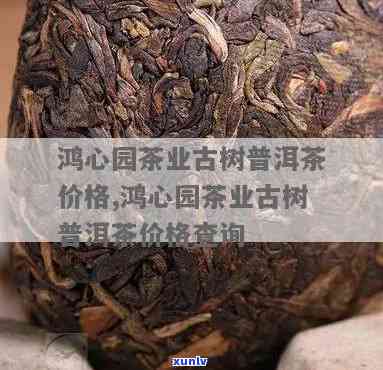 新 '鸿心园茶厂：古树普洱茶的珍稀之选与独特魅力'