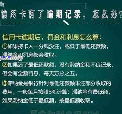 工行信用卡逾期100天后果全解析：信用记录受损、罚款及利息累积等影响