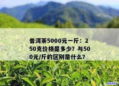 普洱茶4kg多少钱一斤：价格与400g对比，以及1公斤的参考价位