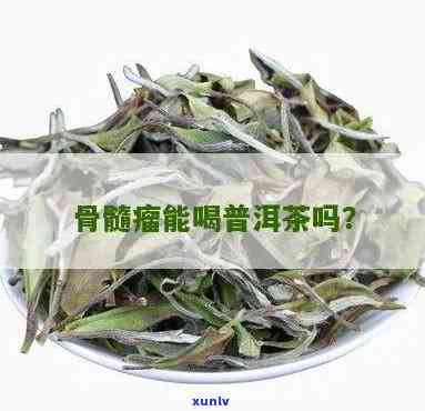 骨髓瘤能喝普洱茶吗