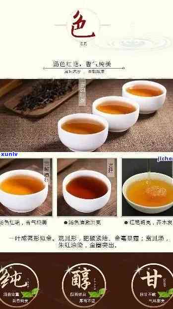 益茗号普洱茶官网：品质优良的普洱茶与益茗香普洱茶详情