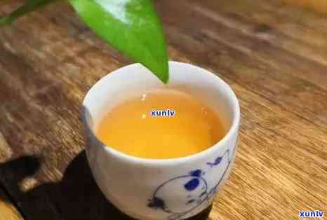 普洱茶的三个品饮阶：生茶、半生不熟与熟茶的口感差异探讨