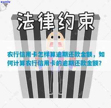 农行信用卡逾期3月还了逾期金还能用吗？如何计算逾期金额？