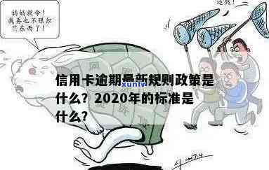 2020年信用卡逾期半年的影响、解决策略与相关问题解答