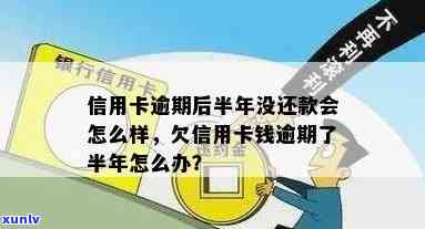 信用卡逾期半年怎么养