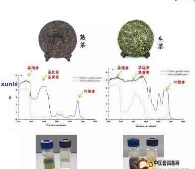 普洱茶与血管瘤：饮用安全性的全面解析