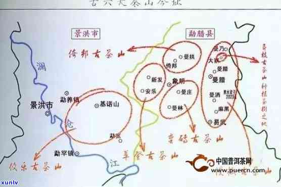 六大茶山普洱茶系列：深入了解每座山的独特风味与品鉴技巧