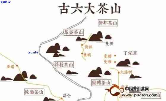 六大茶山普洱茶系列：深入了解每座山的独特风味与品鉴技巧