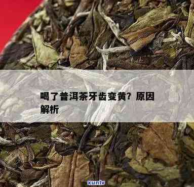 喝普洱茶牙黄怎么办