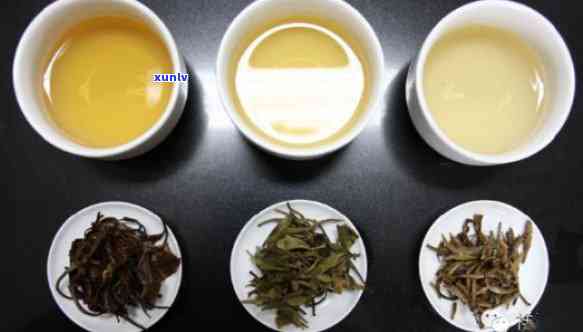 白茶与普洱茶的搭配：品味不同风味，享受双重茶韵