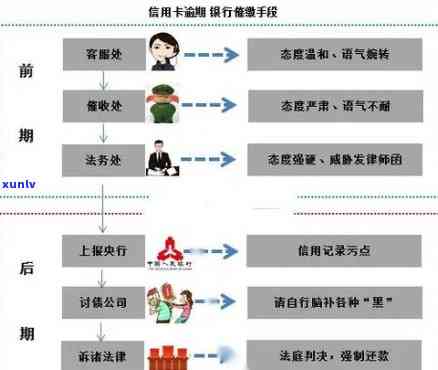 全面解决信用卡逾期问题：法律规避方案与实际操作指南