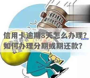 信用卡逾期还款8元，如何处理？了解详细流程和解决方案