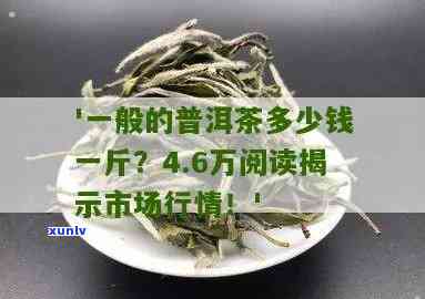 普洱茶多少钱一斤合适？一般普洱茶多少钱一斤？4.6万阅读