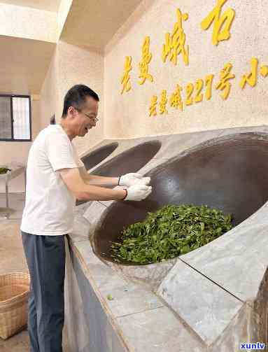 老曼峨勐海普洱茶专业合作社：传承古法，匠心制茶