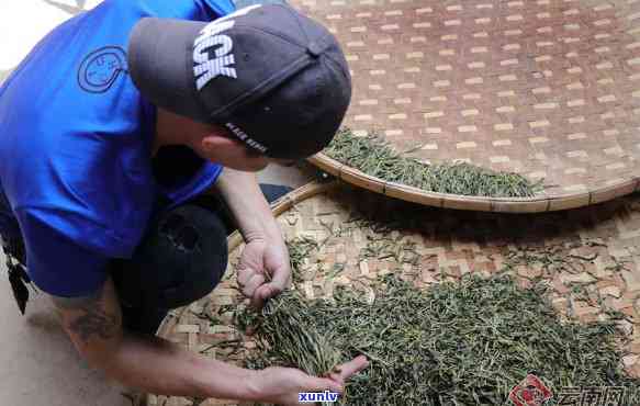 老曼峨勐海普洱茶专业合作社：传承古法，匠心制茶