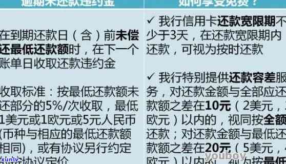 '如何与律师协商还款：信用卡逾期解决方案及步骤详细解析'