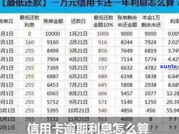 信用卡逾期半年5万利息计算方式及相关影响全面解析