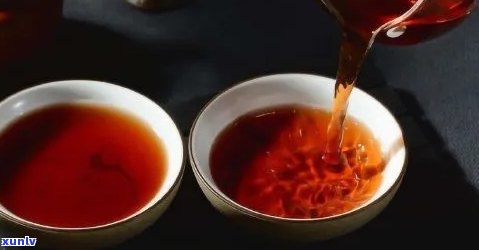 新肥肉离去，品味人生：一壶普洱茶的刮油妙方