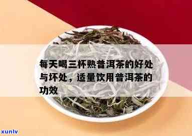 三联疗法期间饮用普洱茶的好处与医生建议：如何正确享受这种益处？