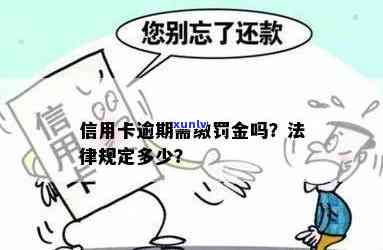 信用卡逾期纳税处罚规定是什么？