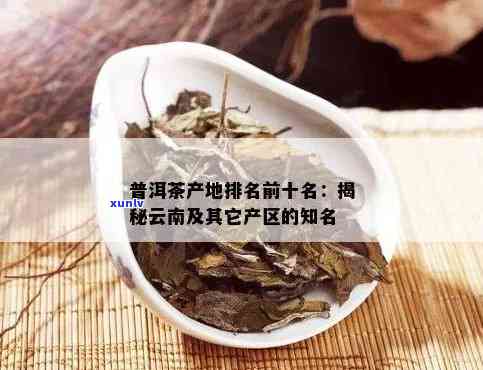 云南普洱茶行业最新排名：大益与古树茶等知名产品脱颖而出