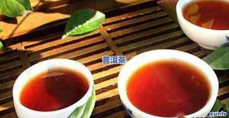 普洱茶是否适合每天饮用？喝普洱茶的好处和坏处是什么？