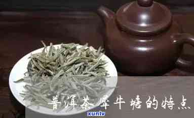 牛滚塘普洱茶：一款口感独特、具有特点的优质好茶