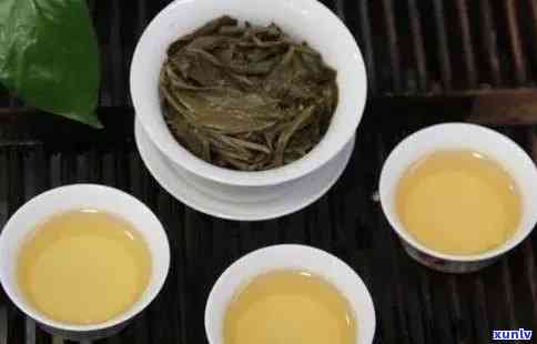 探究牛滚塘普洱茶的独特风味与品质特点：一款值得品鉴的茶叶全解析