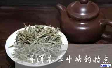 探究牛滚塘普洱茶的独特风味与品质特点：一款值得品鉴的茶叶全解析