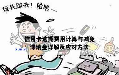 信用卡逾期滞纳金攻略：如何避免不必要的费用与影响