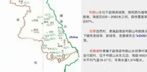 老曼峨山普洱茶的产地及其独特魅力探究