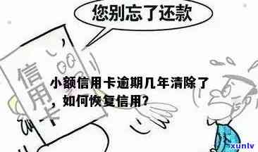 翡翠中的白色豆种：一种不常见的珍稀宝石？