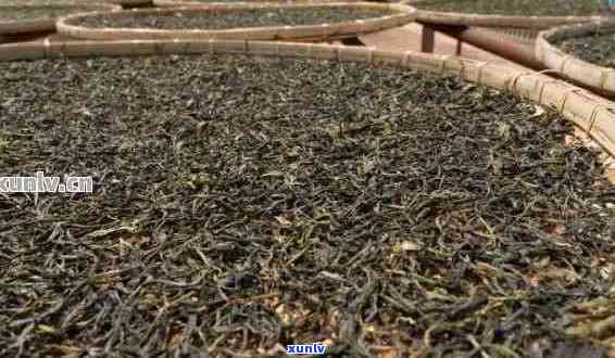 9.9包邮的普洱茶： *** 原料与工艺详解