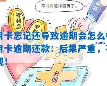 信用卡逾期后果全面解析：如何规划还款计划，避免信用损失？