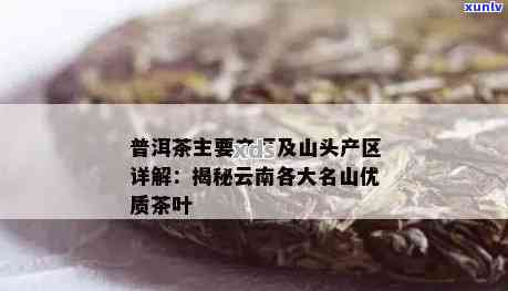 普洱茶知名山头：探索世界级茶叶产区及其独特风味