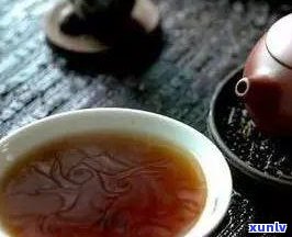 普洱茶里面的白色絮状物溶于水：探究普洱茶中的独特成分