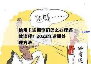 2022年信用卡逾期还款全方位指南：处理策略与有效步骤详解