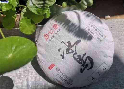 福园聚香冰岛普洱茶2013:品鉴与口感体验