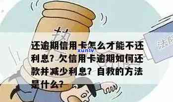 信用卡逾期还款怎么补救