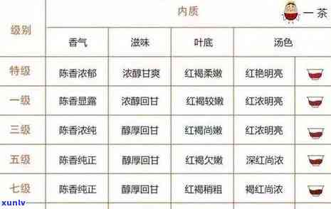 普洱茶级别选择指南：如何根据个人口味和需求挑选合适的普洱茶叶