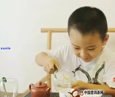 孩子可以喝普洱茶吗？给孩子喝普洱茶的好处和注意事项