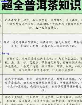 普洱茶：名茶的代表之一？了解其历、品种、功效等全面信息