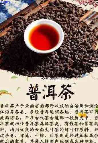 普洱茶算是十大名茶