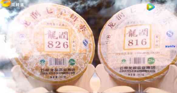 龙润普洱茶：品味财富、享受健，全方位解读选购与品鉴技巧