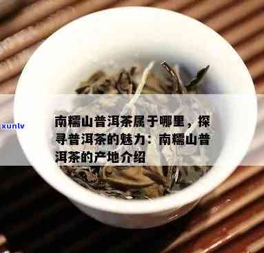 南糯山只产普洱茶吗？南糯山的普洱茶品种及口感特点