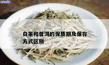 白普洱茶有保质期吗？普洱白茶保质期一般多久？